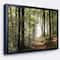 Designart - Green Fall Forest with Sun Rays - Landscape Photography Framed Canvas Print